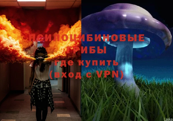 2c-b Осташков